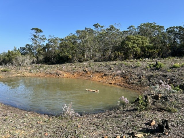 Commercial Property for Sale in Mossel Bay Rural Western Cape